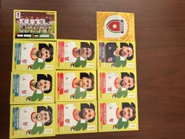 Panini FIFA WM 2026 Stickers Jordan United Edition 13 Stk
