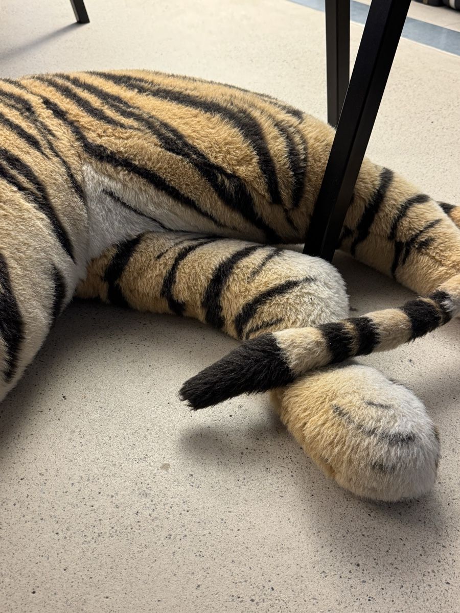 Statuette: Plüsch Tiger XXL – Usato da Zürich venduto da VZN 3