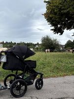 Lionelo Kinderwagen frisch gereinigt!!