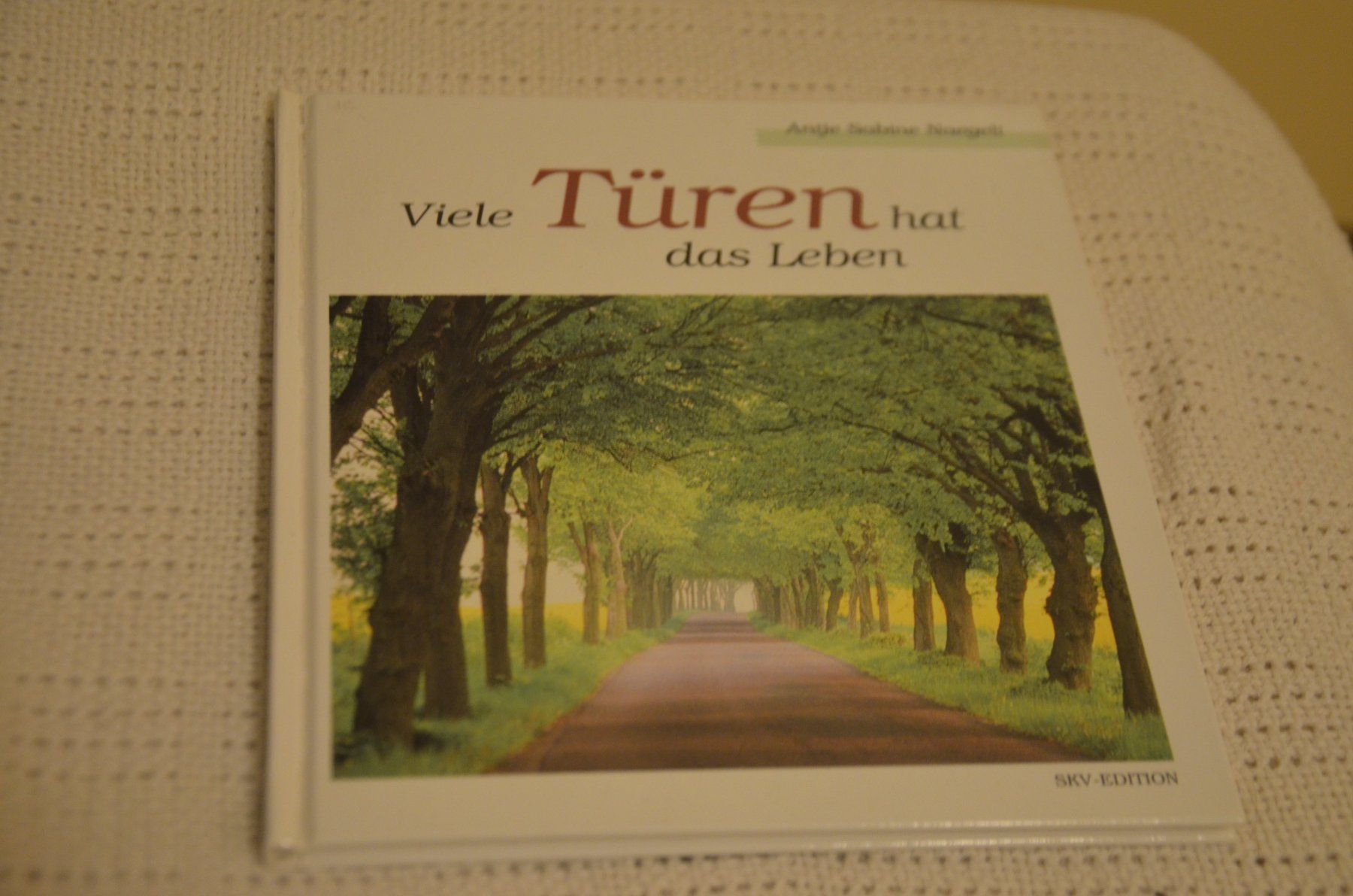 Libri: MINI BUCH – Usato da Chiasso venduto da Dolly015