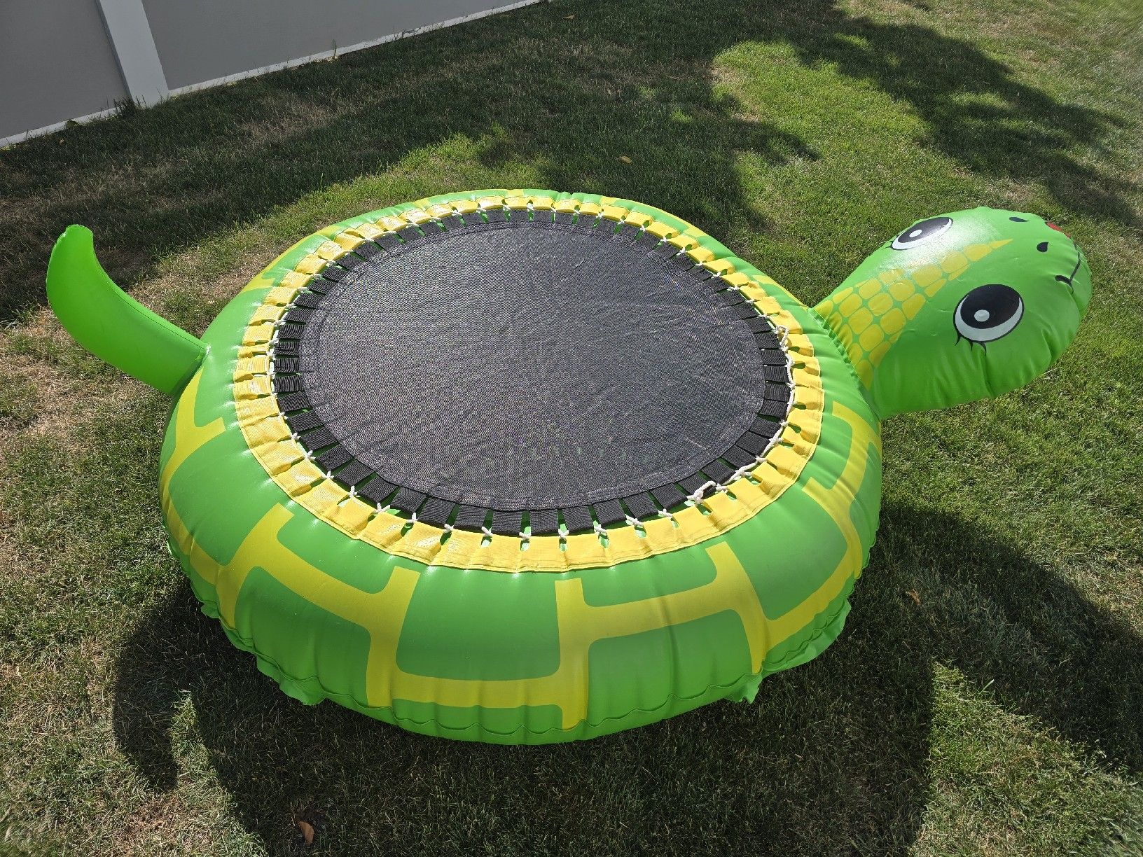 Schwimmbad: Aufblasbare Schildkröte 140cm – Gebraucht aus Hausen AG von Vugri 6