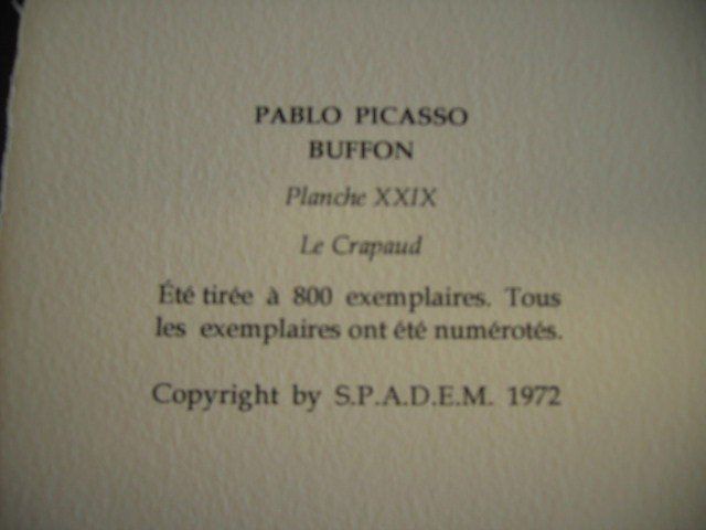 Grafica & Litografie: Pablo Picasso BUFFON ZYKLUS "Le Crapaud" – Usato da Nennigkofen venduto da Sommersonnen 8