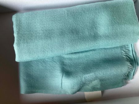 Pashmina en cachemire (avec etiquette de prix 189.-)