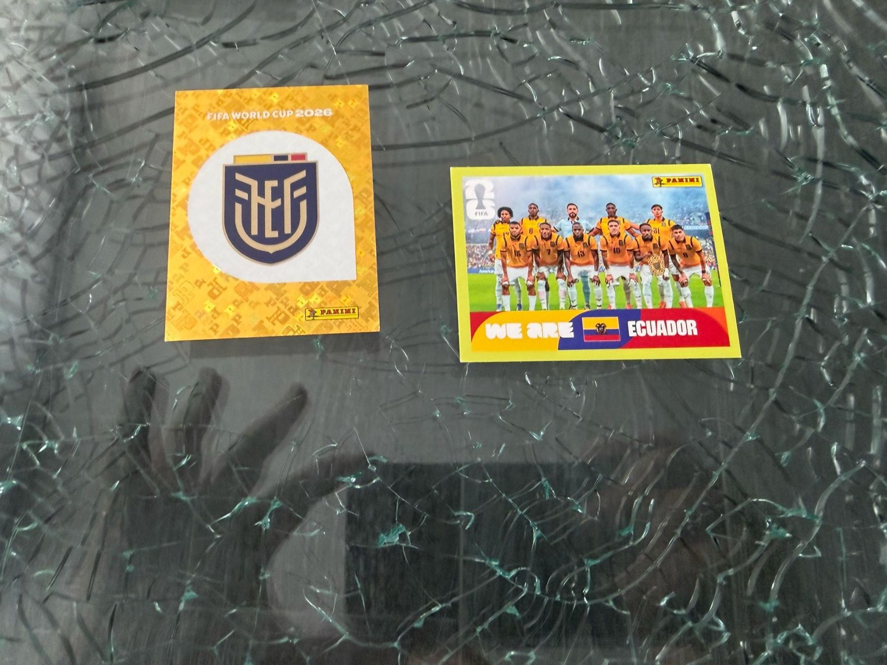 Panini Carte collezionabili: WM 2026 - Panini - Ecuador – Usato da Pfäffikon ZH venduto da Marcodesi76
