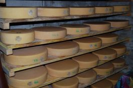 Berner Oberländer Alpkäse AOP (Bio)