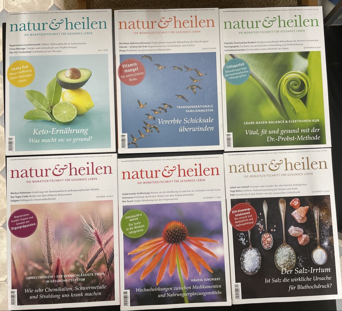 Riviste & Magazine: Natur und Heilen 2024 – Usato da Bäretswil venduto da Evamaria1 2