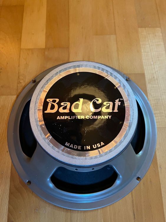 Bad 2024 cat celestion