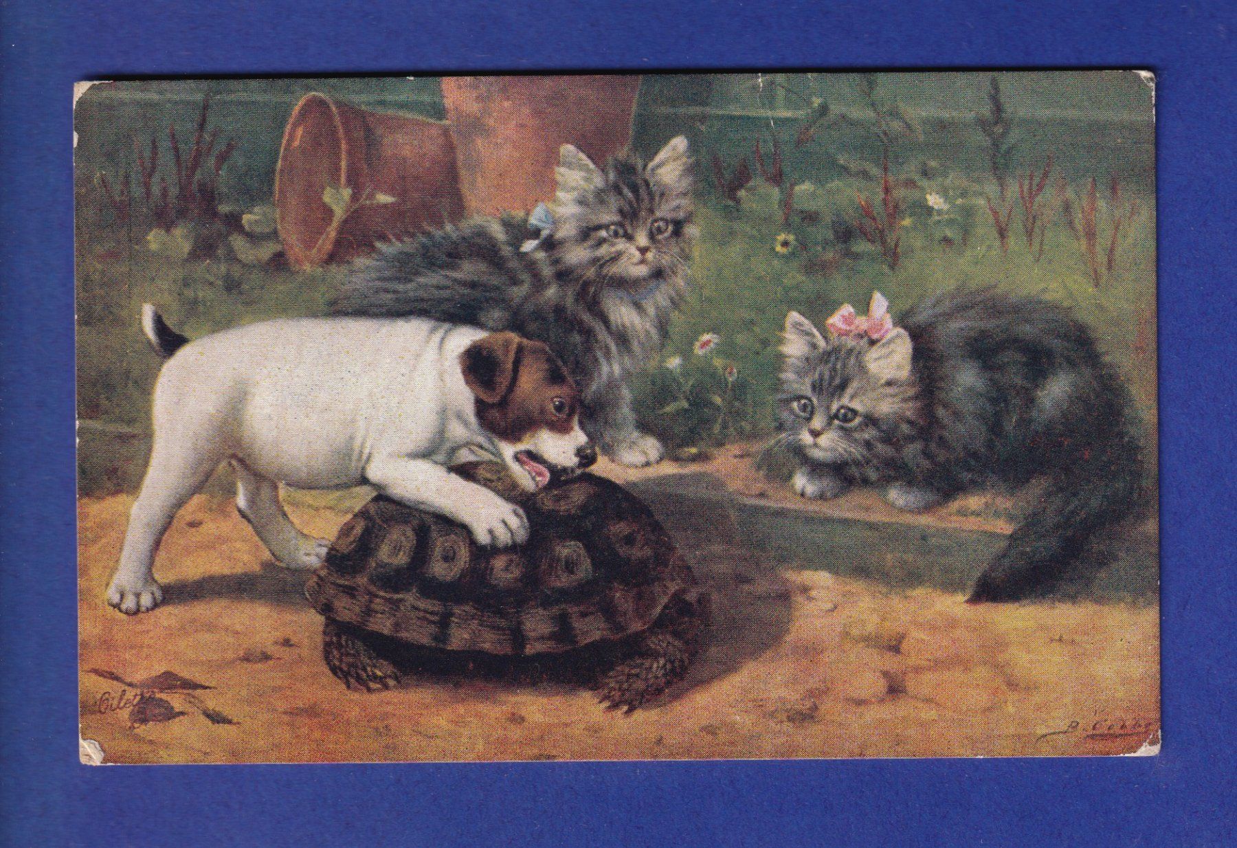 Cartes postales: CHAT - CHIEN et TORTUE – D'occasion à Pully par nicecards-shop