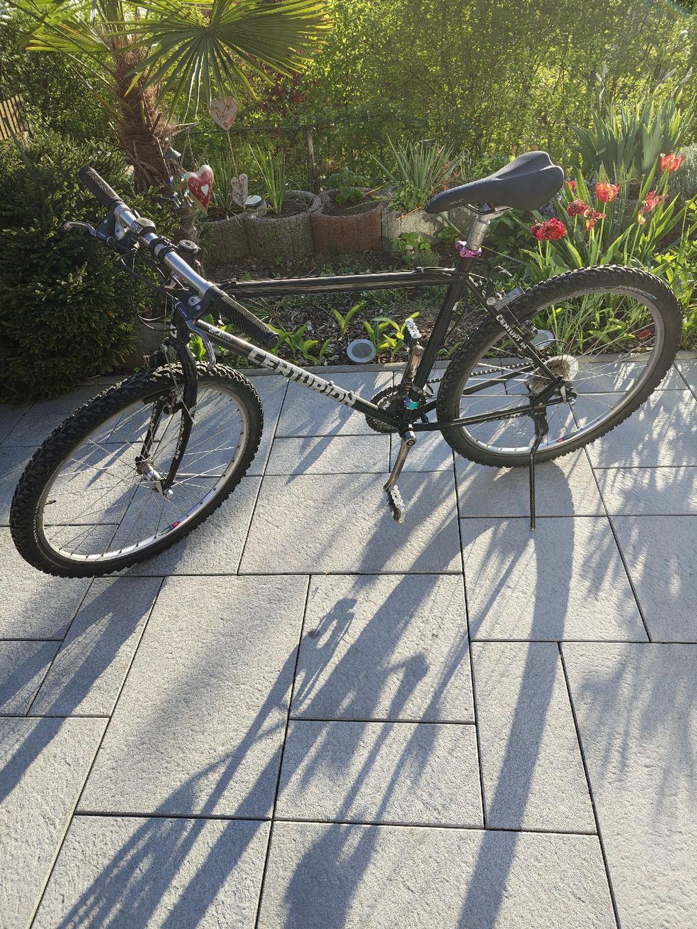 Biciclette: Centurion MT2 Mountainbike 26zoll – Usato da Flurlingen venduto da dob_959p 3