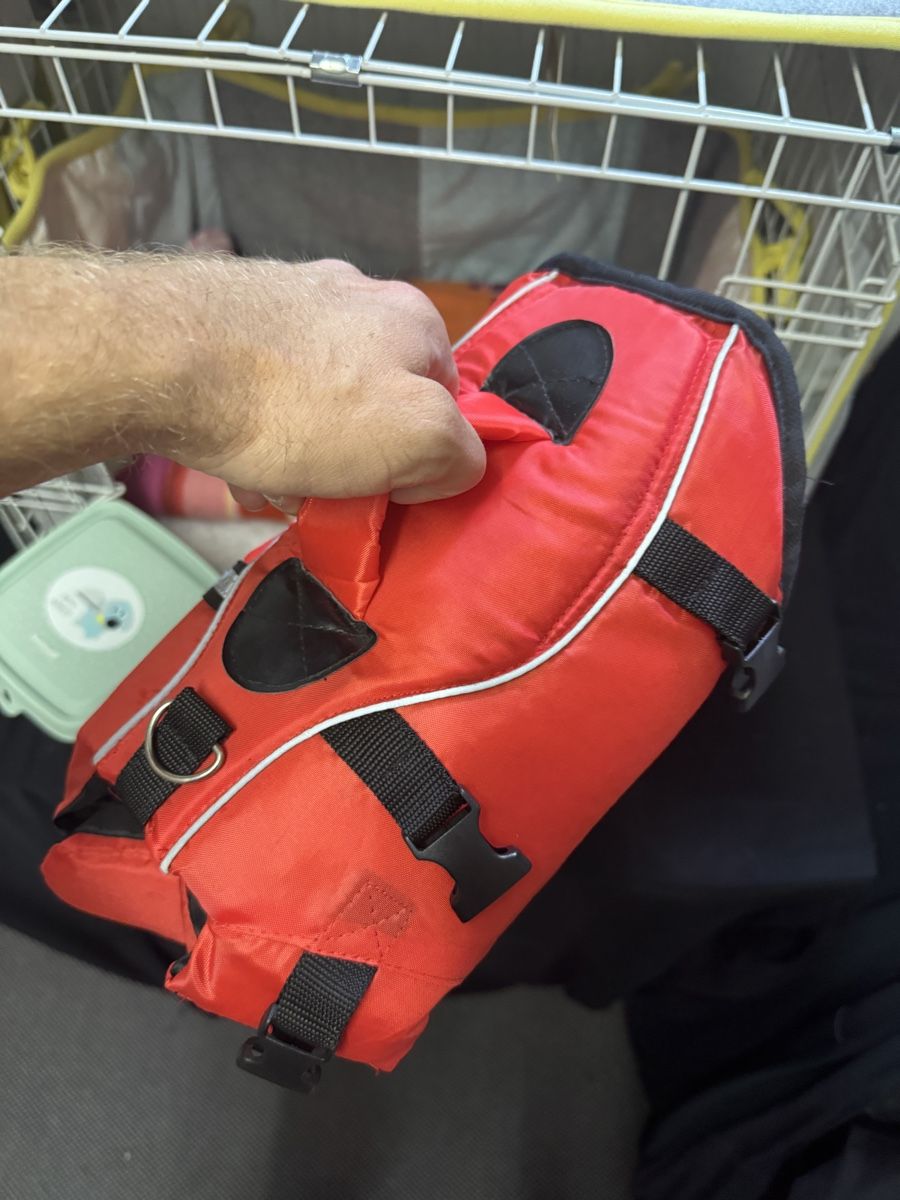 Gabbie, trasporto & Sicurezza: Hundekäfig, Schwimmveste, Kuscheldecken – Nuovo (secondo la descrizione) da Bottighofen venduto da san_v5p7 1