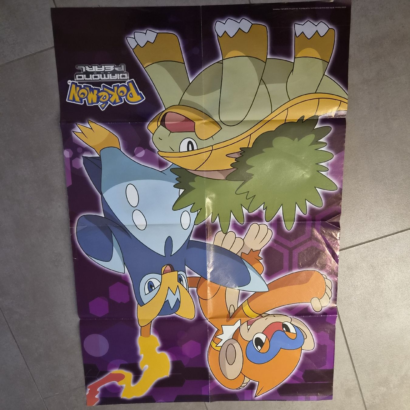 Poster & Bilder: grosses Poster Pokemon – Gebraucht aus Scherz von gui_6q7l 1