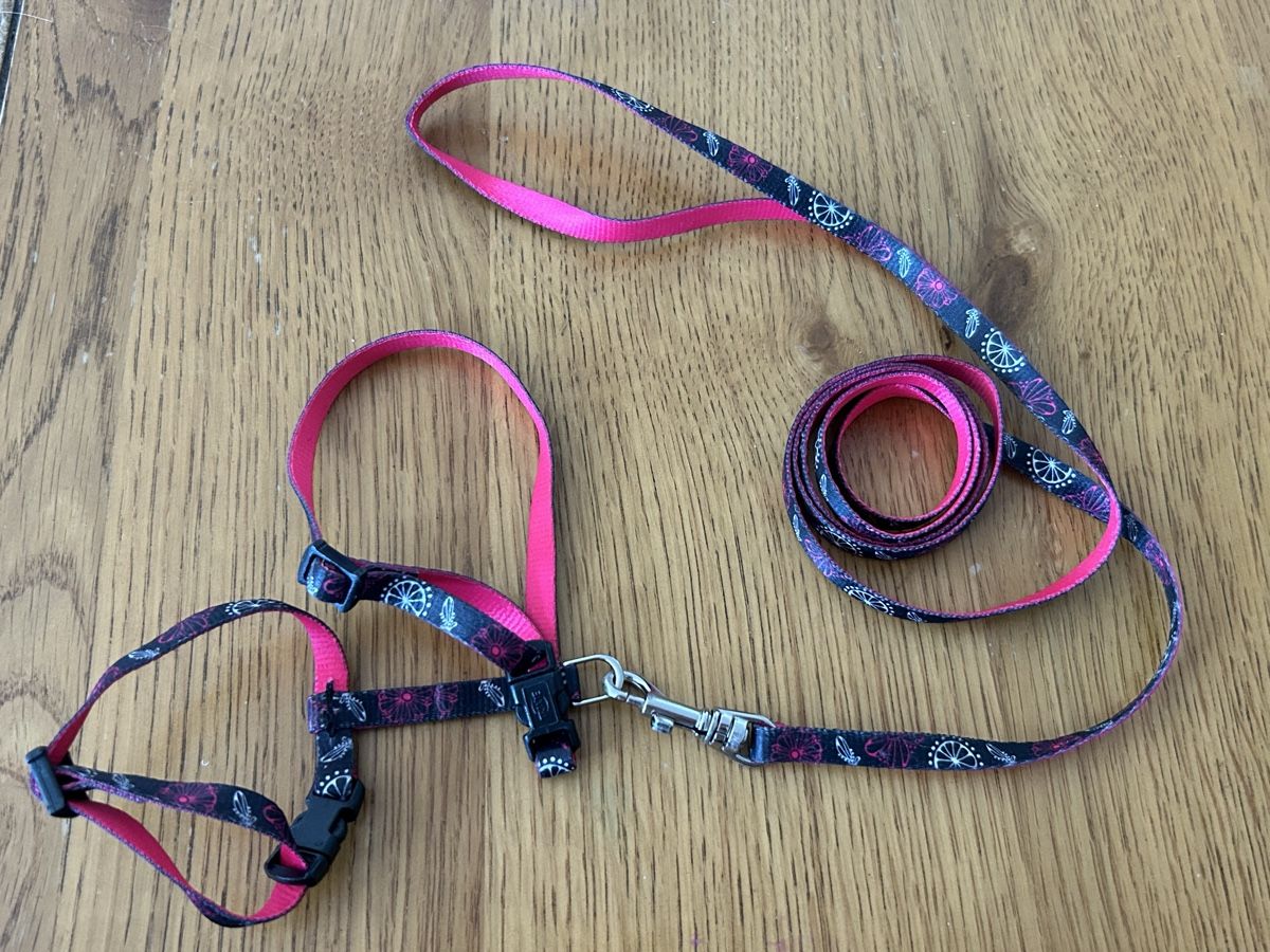 Guinzagli & Collari: Pinkes Katzengeschirr mit passender Leine – Usato da Oberkulm venduto da angela_05