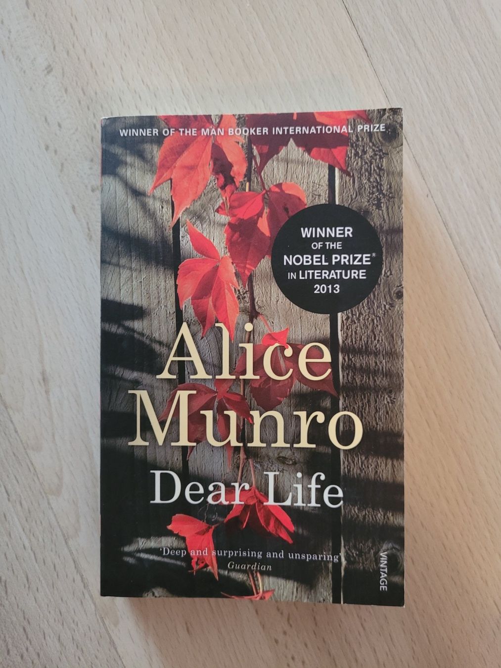 Libri: Dear Life – Usato da Perlen venduto da Safari_23