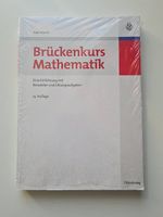 Buch Brückenkurs Mathematik