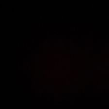 Profile image of emi_d687