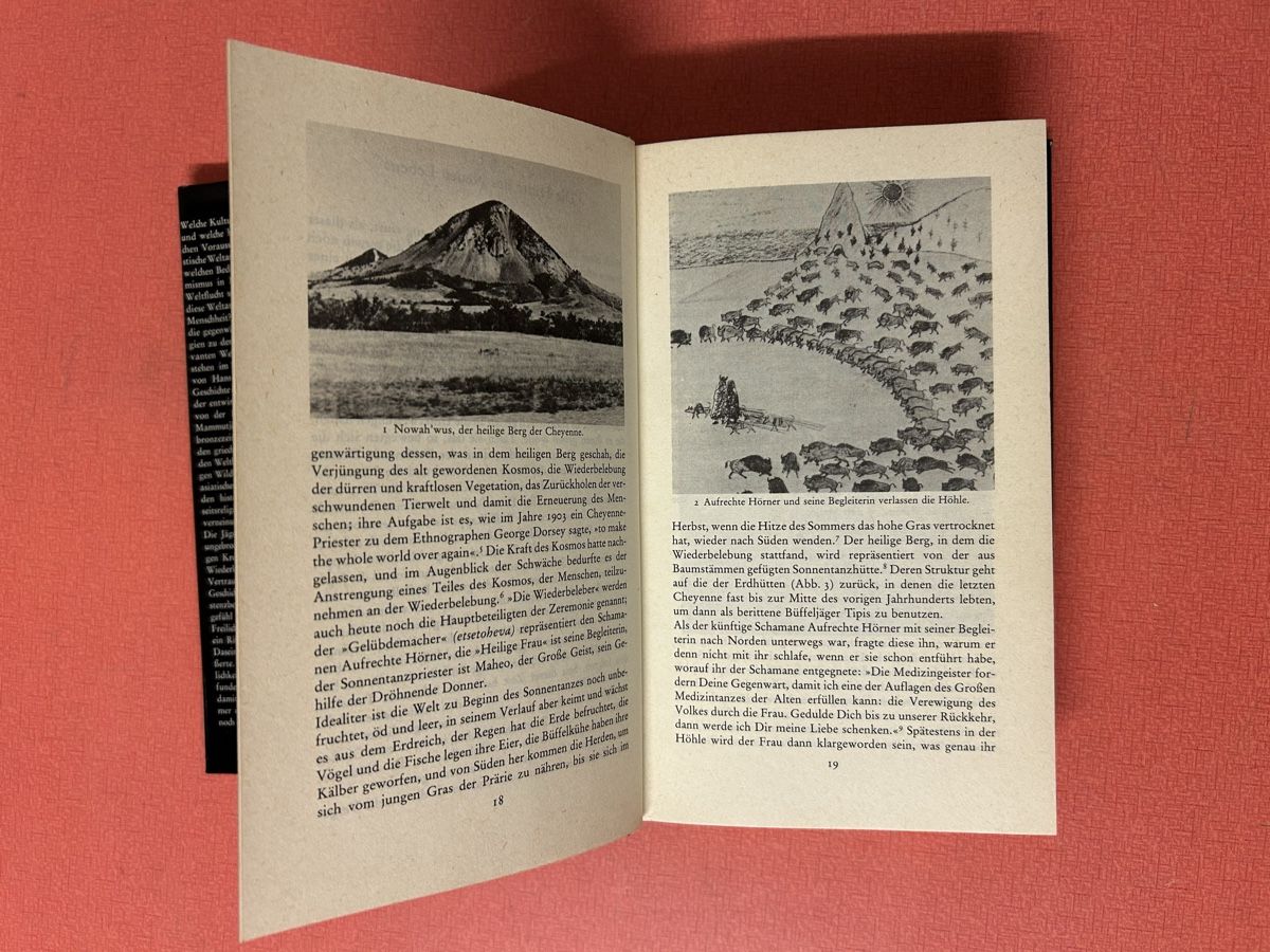 Libri: Hans Peter Dürr - Sedna: Seltenes Buch. – Usato da Lanzenhäusern venduto da vic63 3