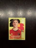 Panini Saelemaekers