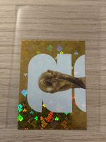 Panini FIFA World Cup 2026 United Edition FWC 1