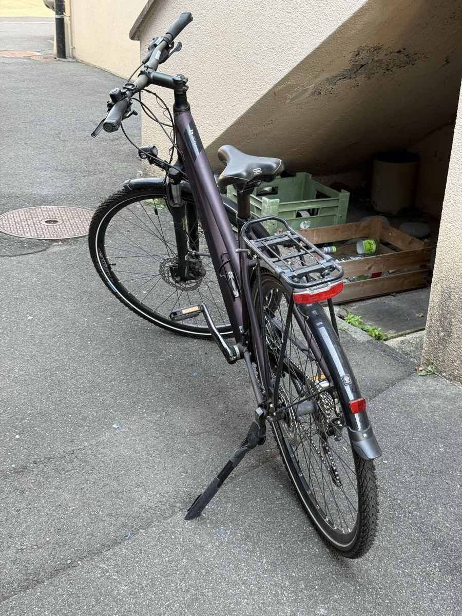 Stoke Velos: Stoke TRX 9.9 L/48cm – Gebraucht aus Horw von Bume1994 1