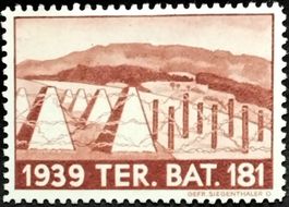 Soldatenmarke 2.WK, Ter Batallion 181, braun, Wi Ter 367