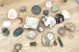Steinesammlung Mineralien Fossilien Deko Basteln Diverse Ste