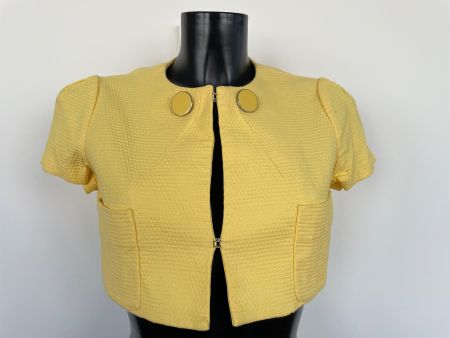 Bolero Kurzjacke Jäckchen Business Mango MNG Suit gelb Gr. M