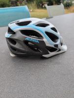 alpina Fahrradhelm
