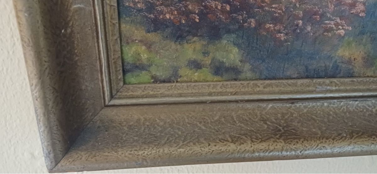 Dipinti: Landschafts Bild – Usato da Flawil venduto da Naphtali 4