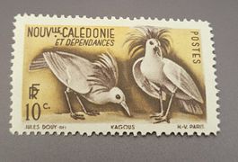 Neukaledonien 1948 Vogel alte briefmarke