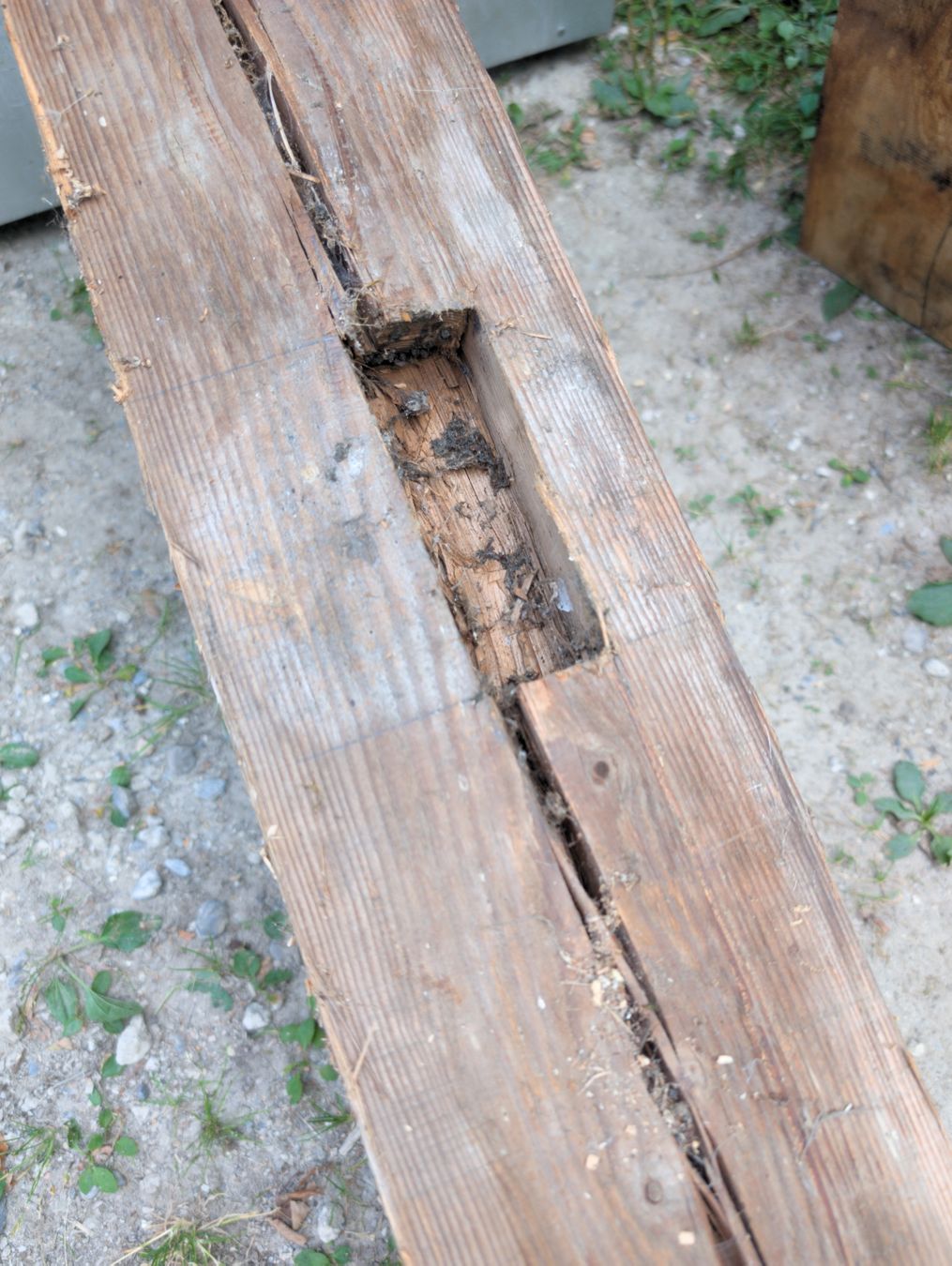 Holzartikel: Rustikale Altholbalken – Gebraucht aus Schlatt TG von _holzdesignbbq 7