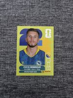 Panini WM 2026 - BIH 17