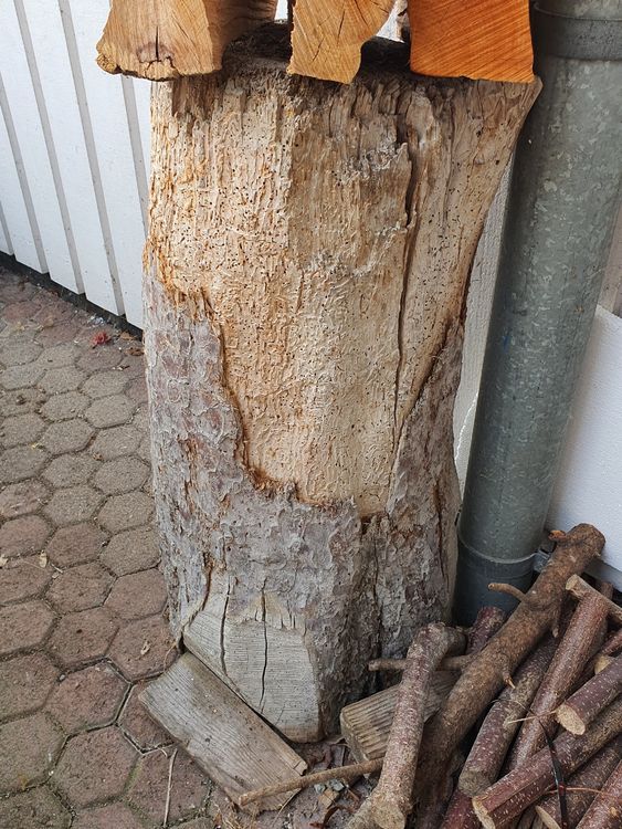 Hackklotz/Holzklotz, ideal zum Brennholz hacken (Gebraucht) in Cham für ...