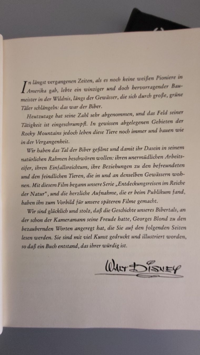 Livres: Walt Disney Bücher – D'occasion à Berikon par Zimmerlinde5 1