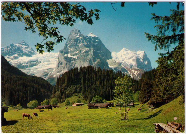 Cartoline postali: Rossenlaui mit Wetterhorn – Usato da Binningen venduto da Mountainrider