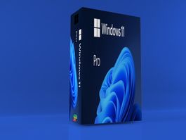 Windows 11 Professional OEM-Multilingual-Vollversion-1PC
