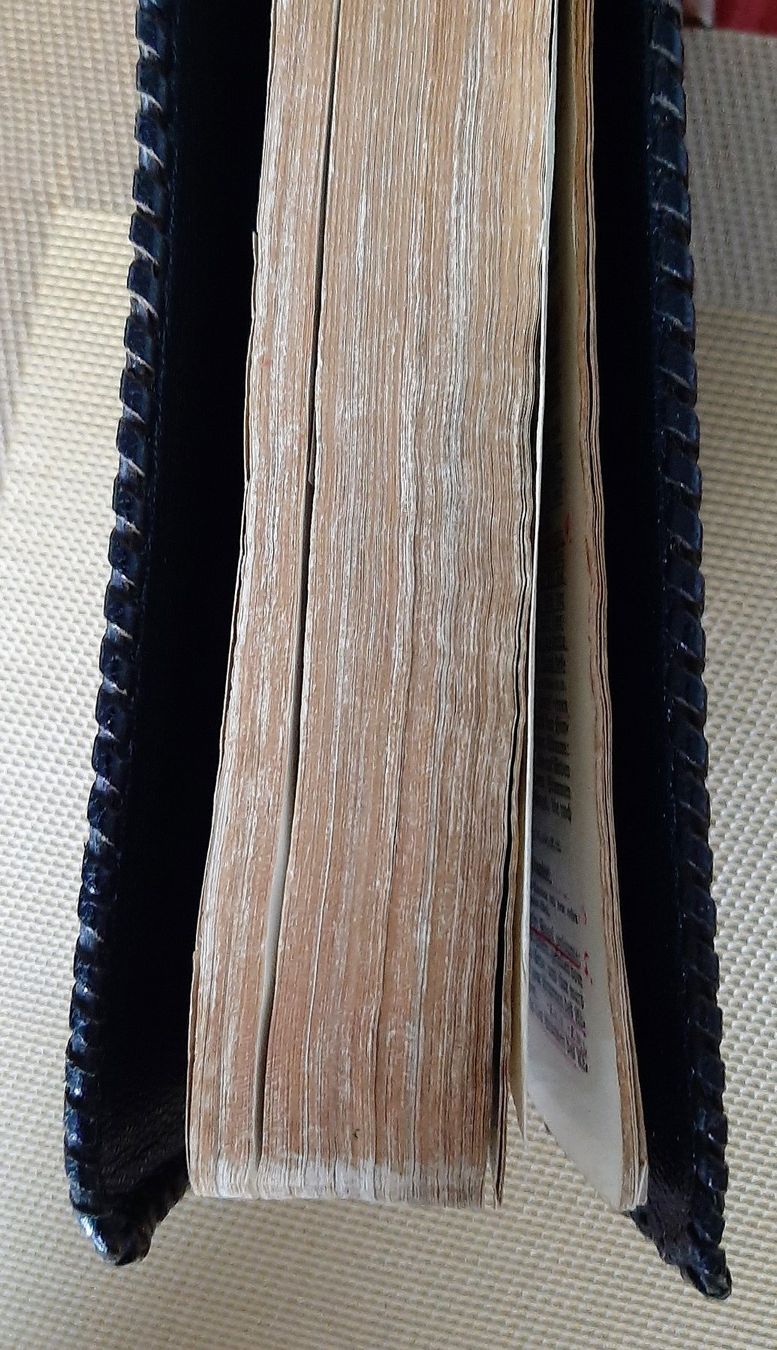Libri: Bibel Stuttgart 1914 – Usato da Zürich venduto da Zurich 9