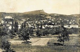 Dornach SO Ortsansicht Nr.7097d  ,  1956