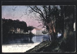 AK Geneve, Bords du Rhone, 1905