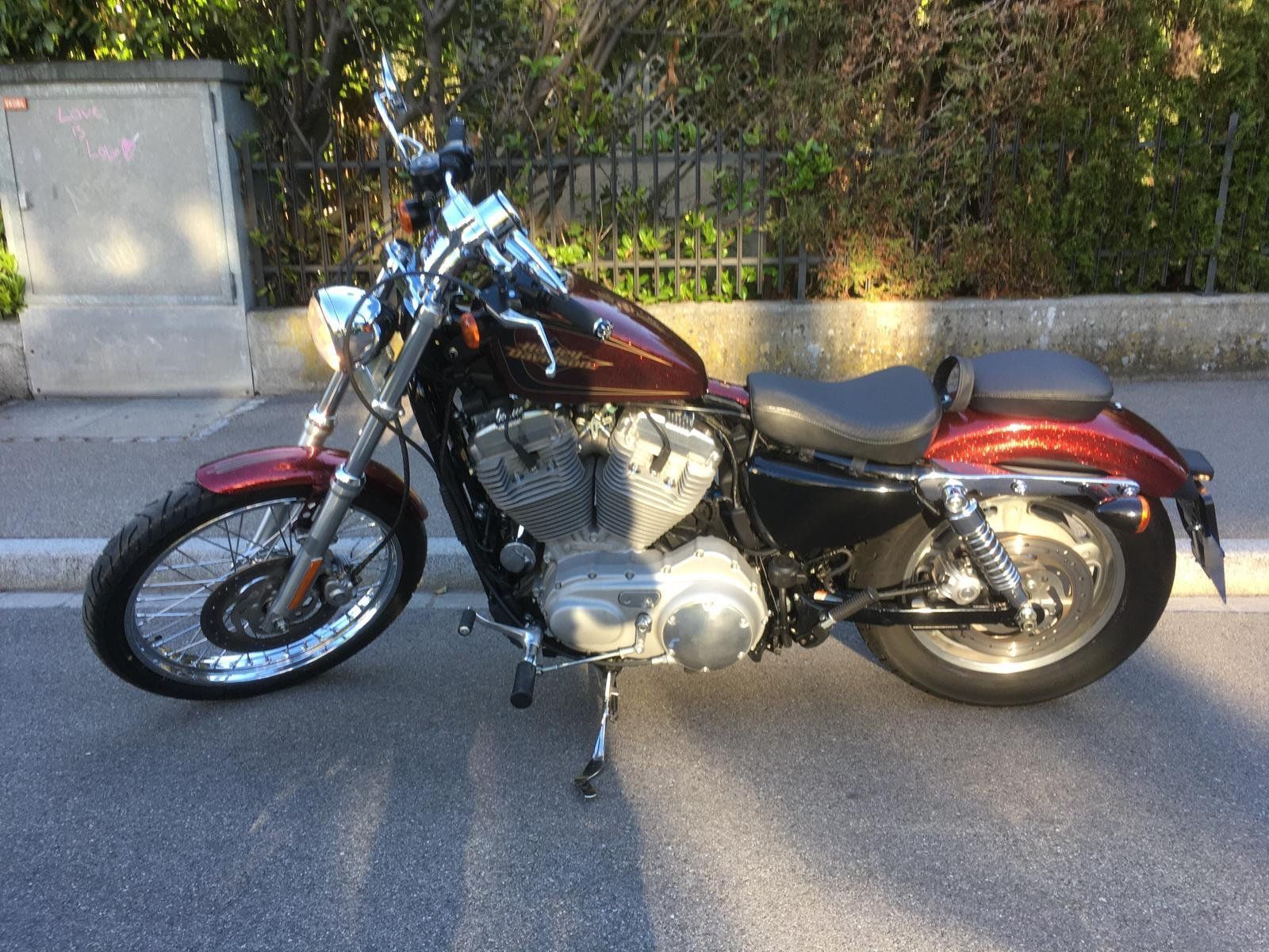 Harley-Davidson Chopper: HARLEY-DAVIDSON XL883C 25kW – Usato da Wil SG venduto da Prof.Eich 1