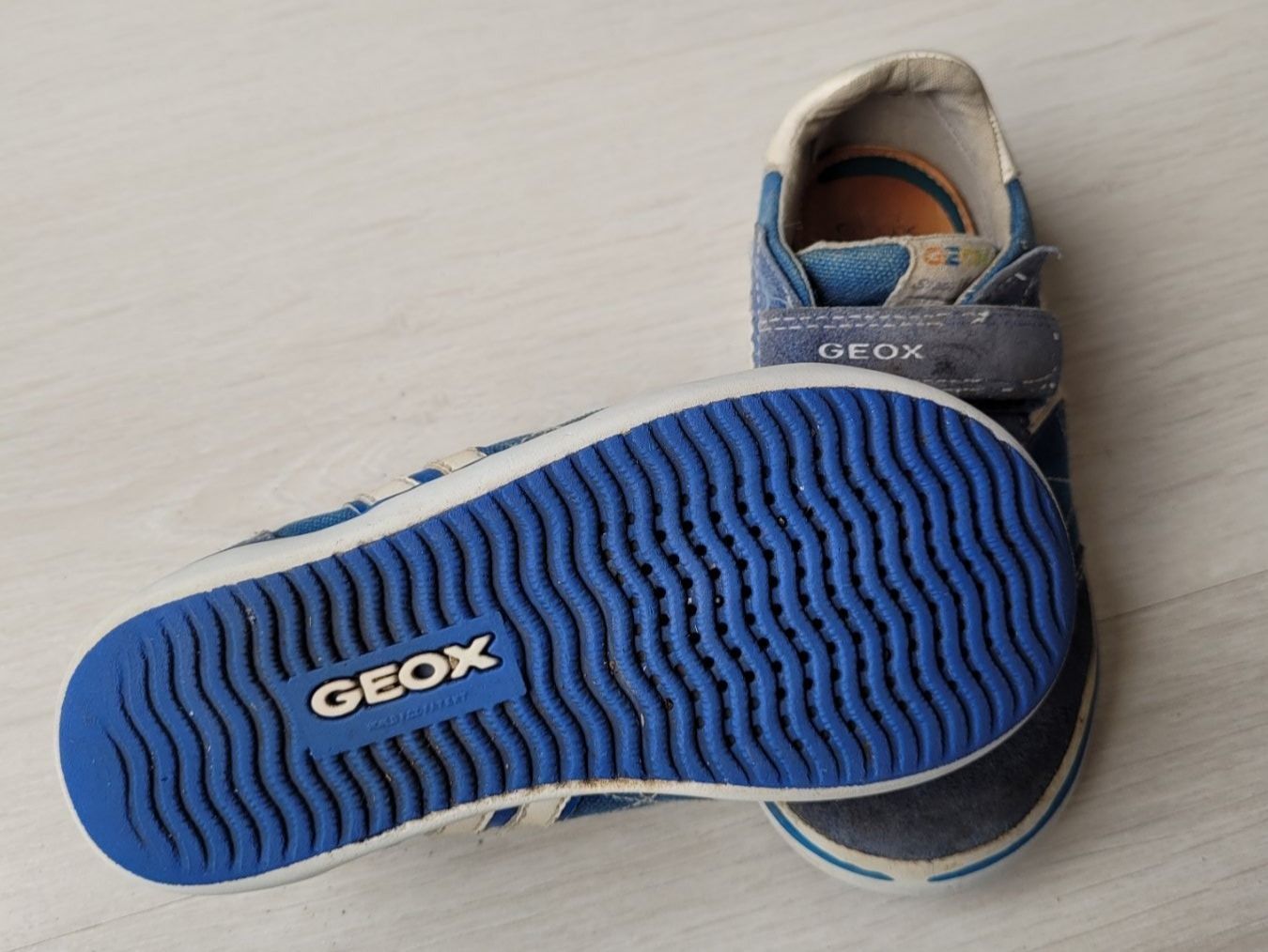 Geox Scarpe per ragazzi: Geox Turnschuhe Gr. 27 – Usato da Gächlingen venduto da Tara_devi 2