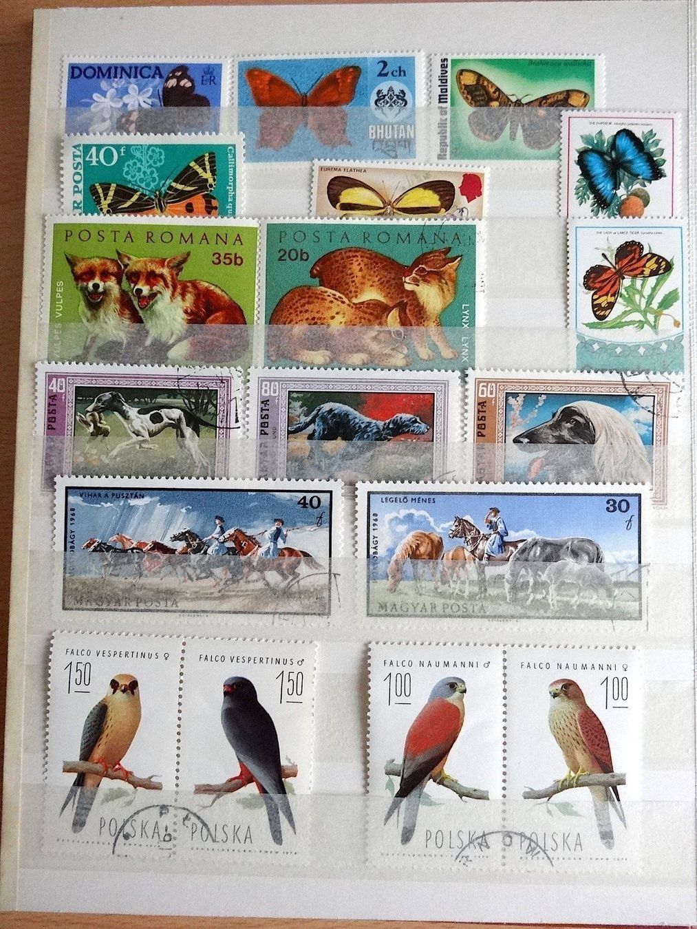 Album: Ganze Briefmarkensammlung – Usato da Scherz venduto da Atopolino 7