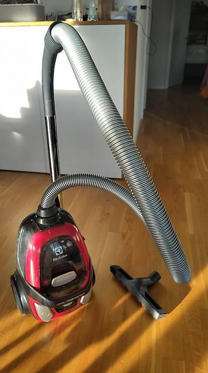 Staubsauger & Zubehör: Staubsauger beutellos Electrolux – Gebraucht aus Aarwangen von ThierrySchaer98 1