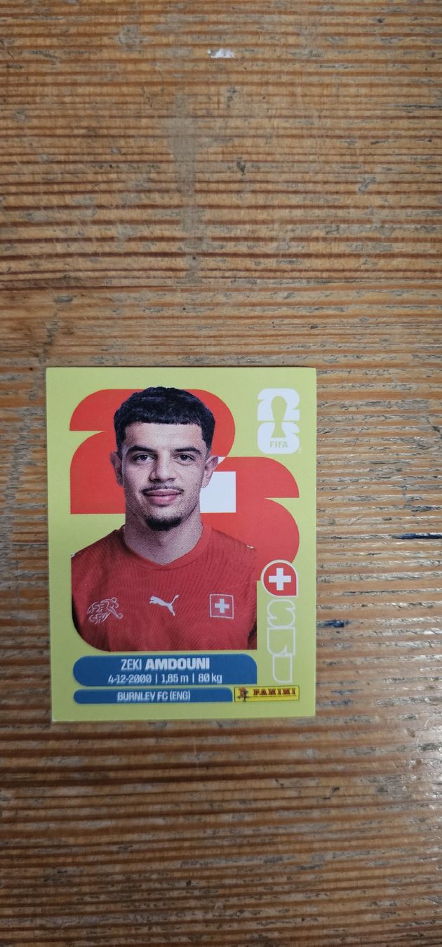 Panini Cartes à collectionner: Fifa World Cup Panini SUI 20 – Neuf avec emballage d'origine à Biel VS par volcom8702