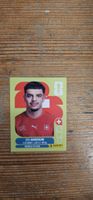 Fifa World Cup Panini SUI 20