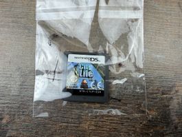 Nintendo DS City Life Spiel