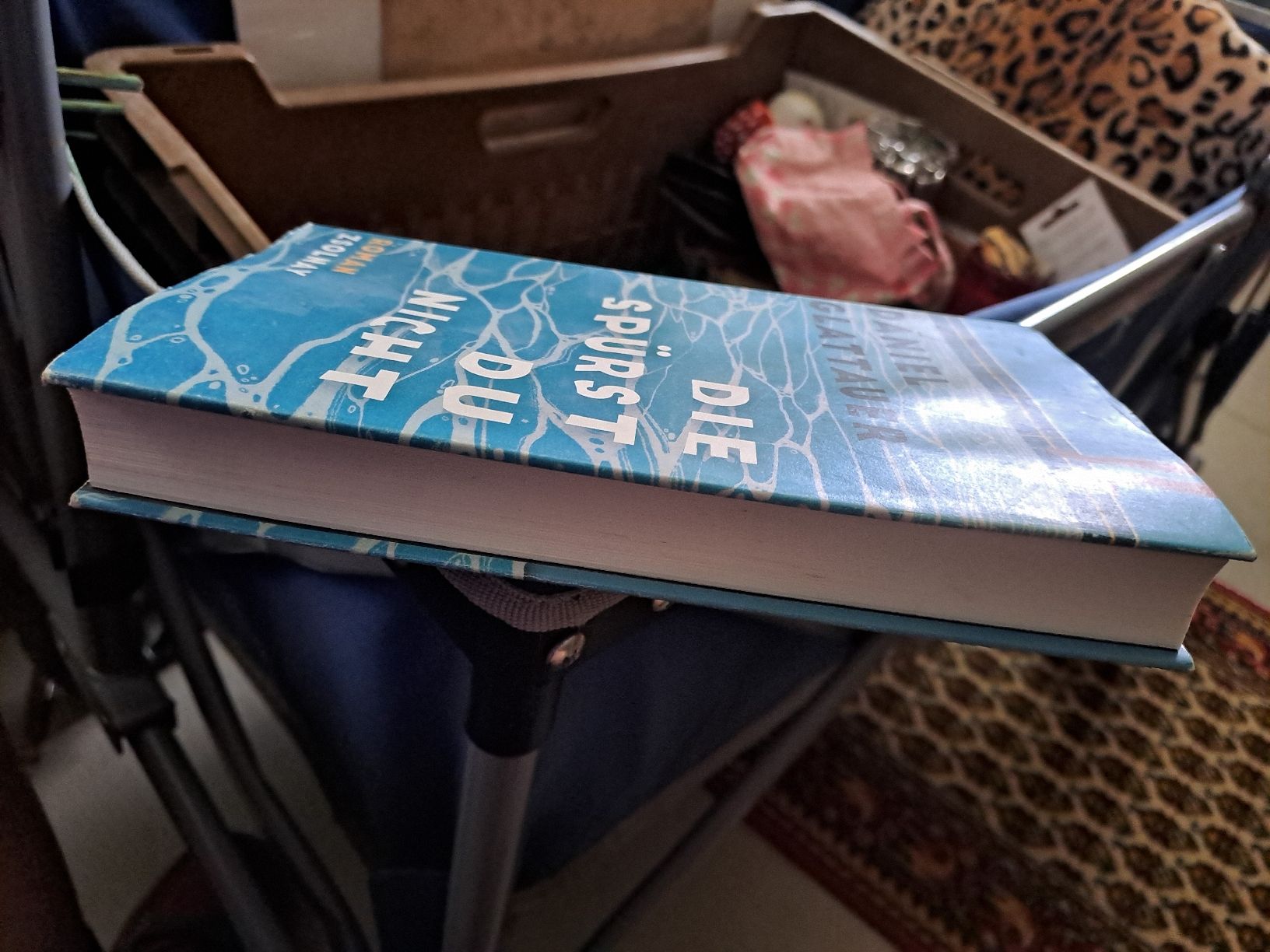 Libri: Buch Daniel Glattauer :Die spürst Du nichtt – Usato da Zürich venduto da Schoebi19 2