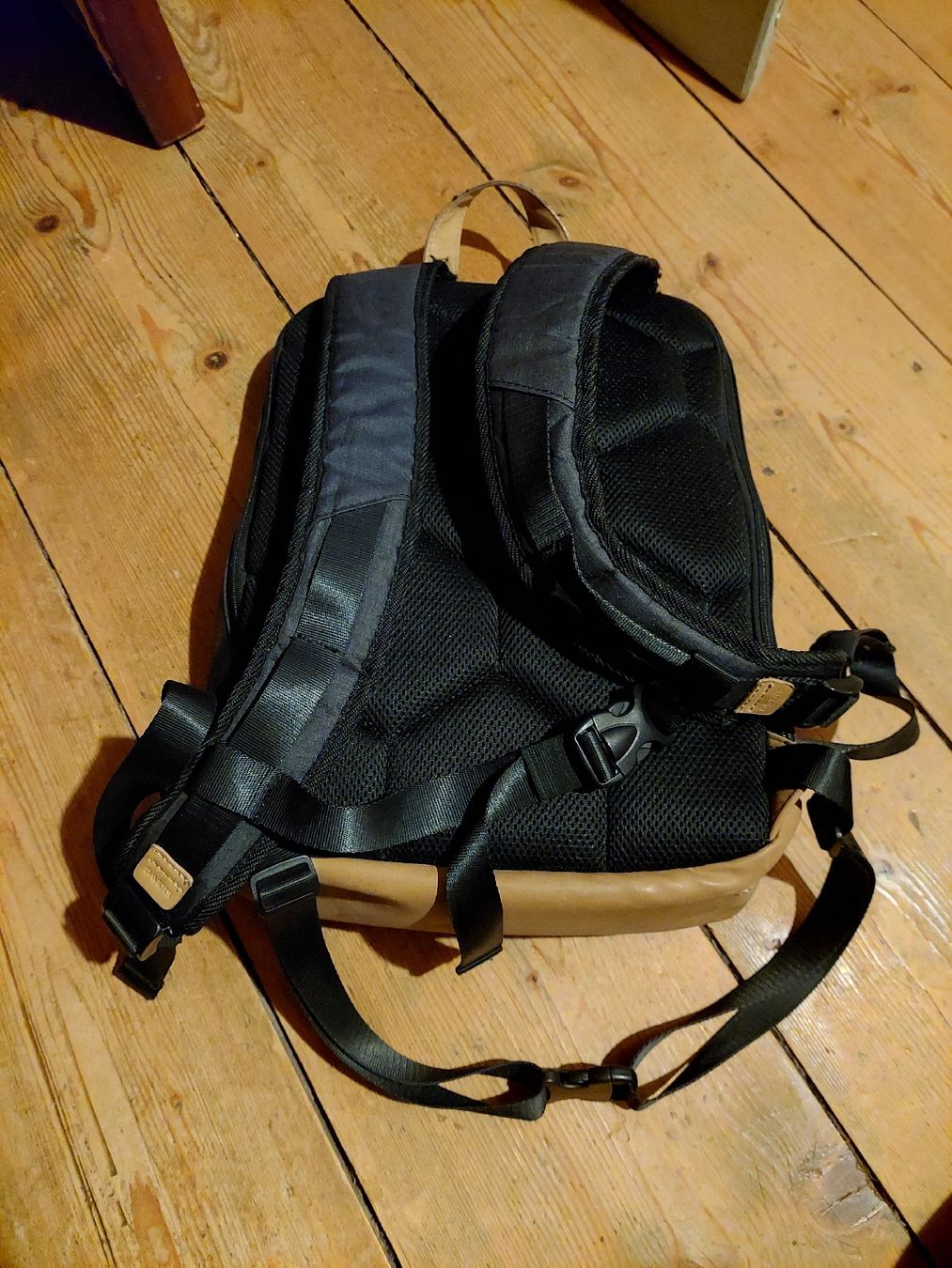 Zaini: Praktischer grosser Rucksack von Davidt's – Usato da Giswil venduto da TinaLockheart 1