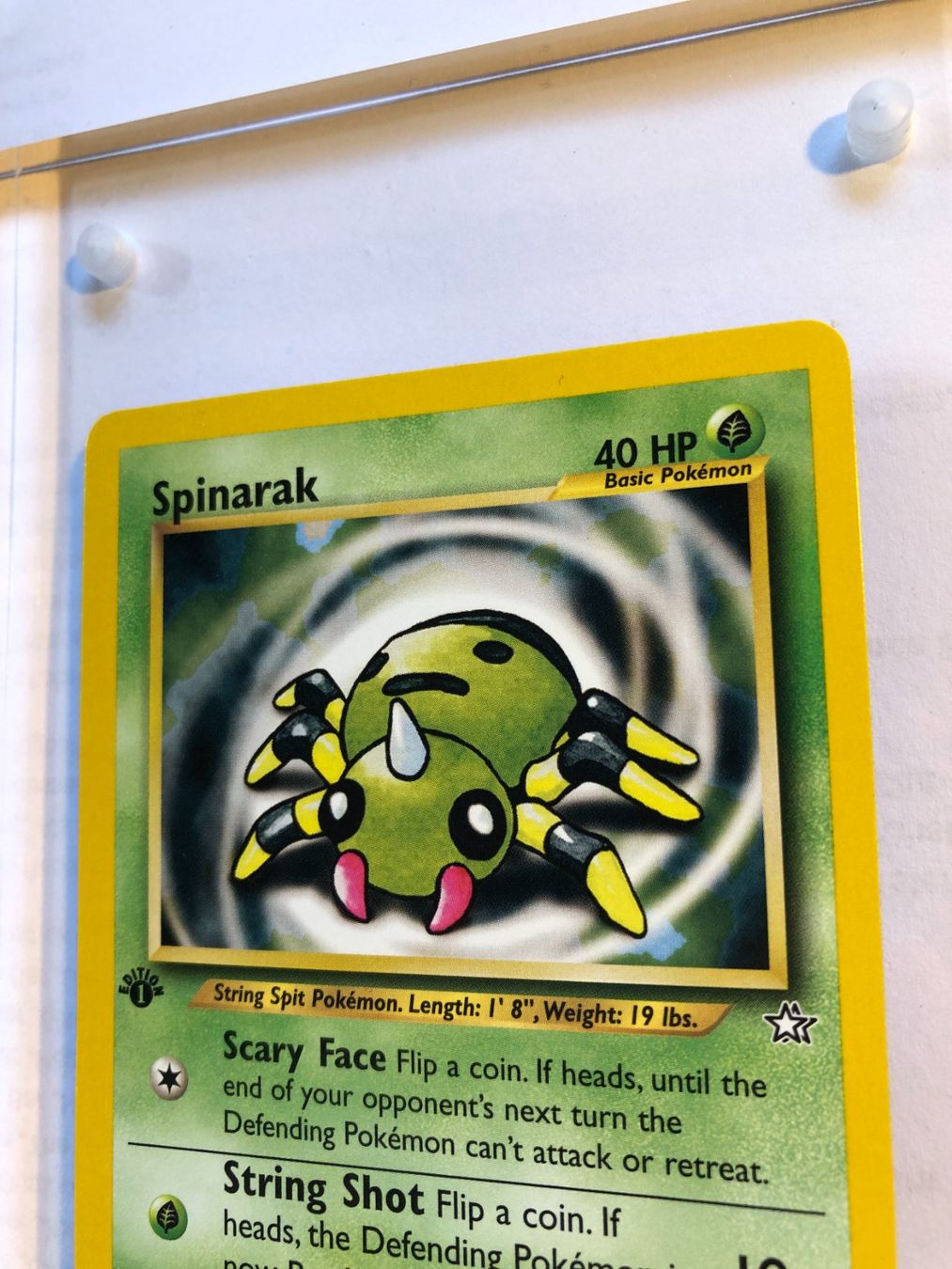 Carte collezionabili: Spinarak 1st Neo Genesis - MINT - ab 1.- – Usato da Giubiasco venduto da dan_pr8b 3