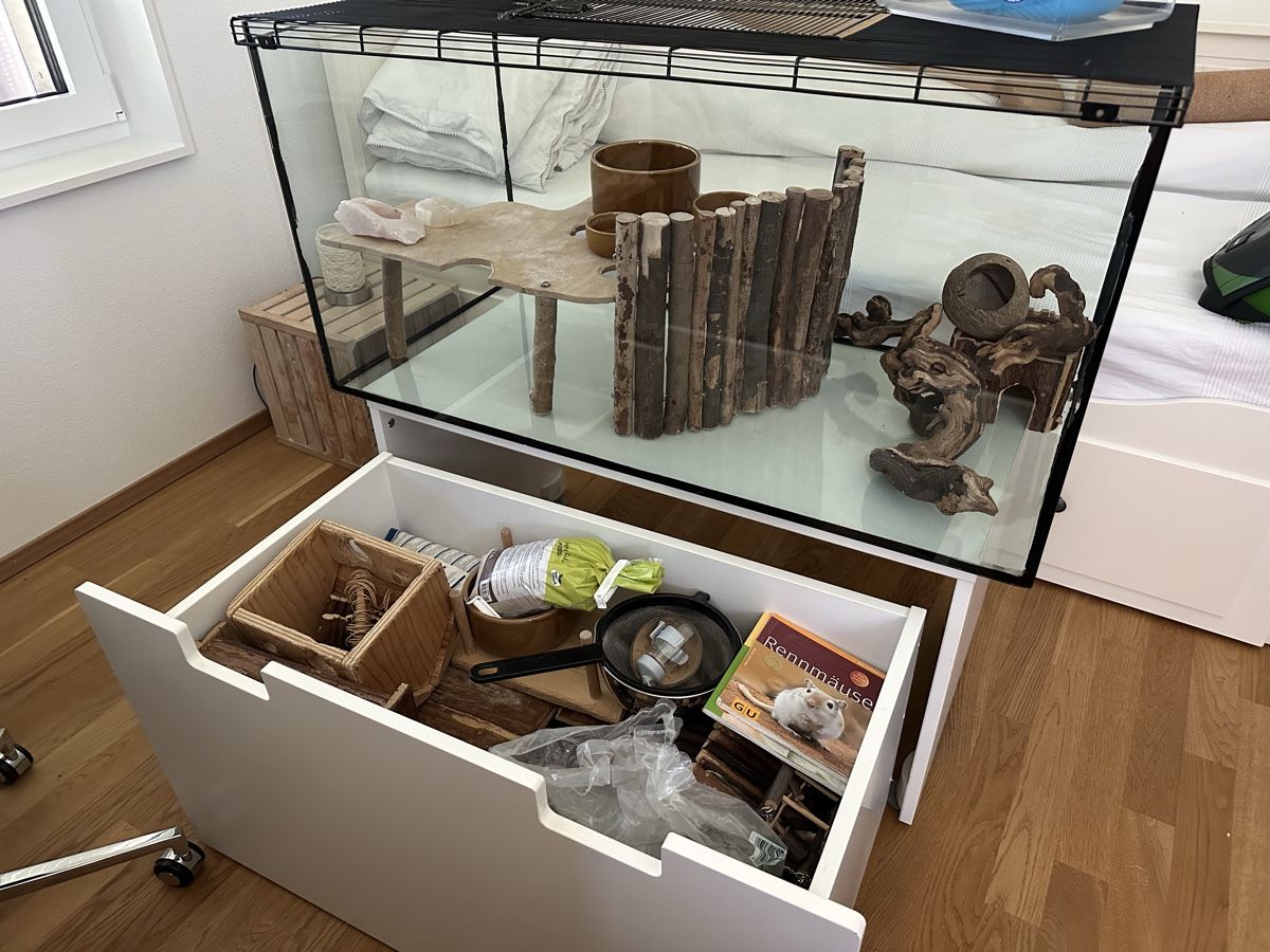 Gabbie, trasporto & Sicurezza: Terrarium / Mauskäfig / Mäusekäfig / Nager – Usato da Zürich venduto da Luoco 3