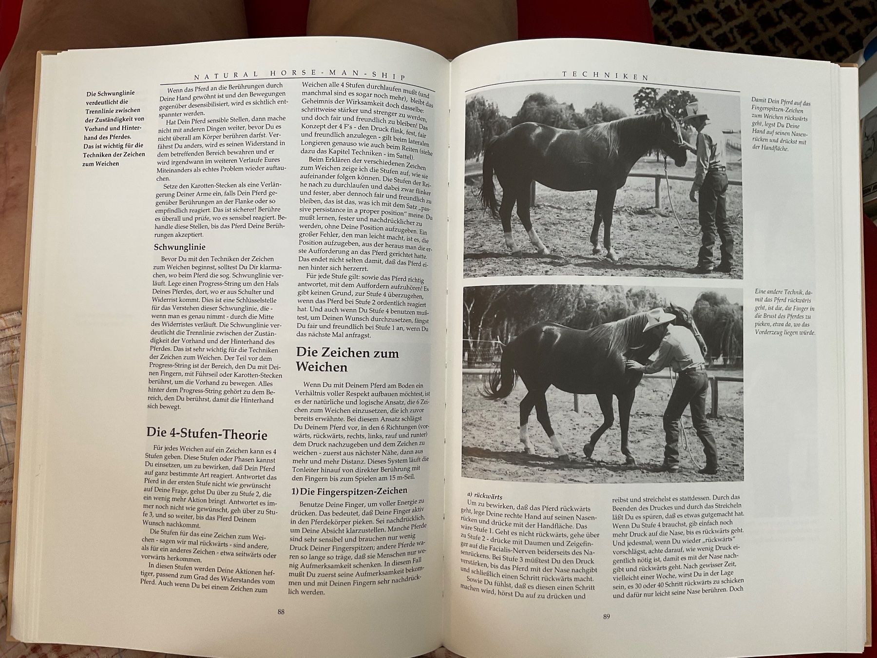 Bücher: Natural Horsmanship (Western Riding) – Gebraucht aus Herisau von eri_2tb5 3